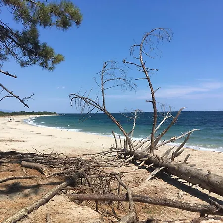 5 Mn De La Milla 2 Lägenhet