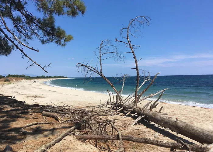 5 Mn De La Milla 2 Apartment